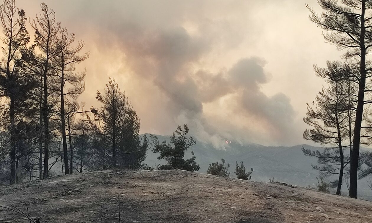 Έβρος: Θα απαγορευτεί το κυνήγι λόγω της δασικής πυρκαγιάς