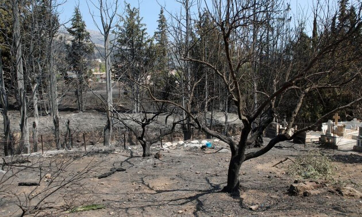 Meteo: Το παράδοξο της Ελλάδας – 52% λιγότερες μεγάλες δασικές πυρκαγιές και 195% αύξηση των καμένων
