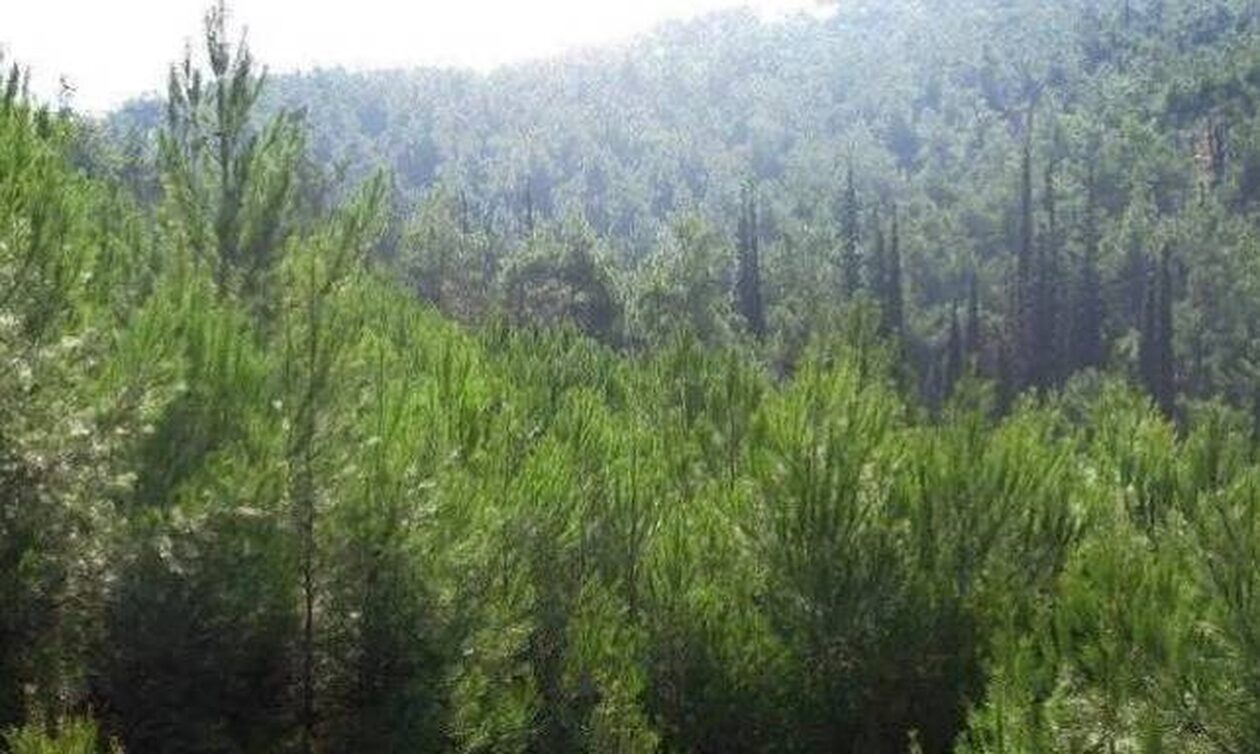 Με drones προστατεύει τις δασικές εκτάσεις του ο Δήμος Φιλοθέης-Ψυχικού