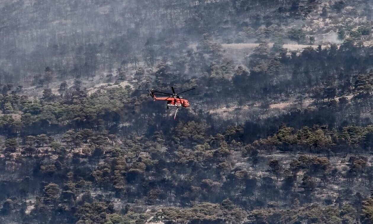 Φωτιά στον Έβρο: Υψηλός κίνδυνος εκδήλωσης πυρκαγιάς σήμερα Σάββατο