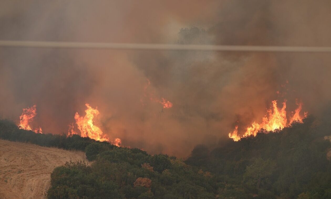 Έβρος: Συνεχίζεται η μάχη με τις φλόγες- Λεπτοκαρυά, Δαδιά και Τρεις Βρύσες τα ενεργά μέτωπα