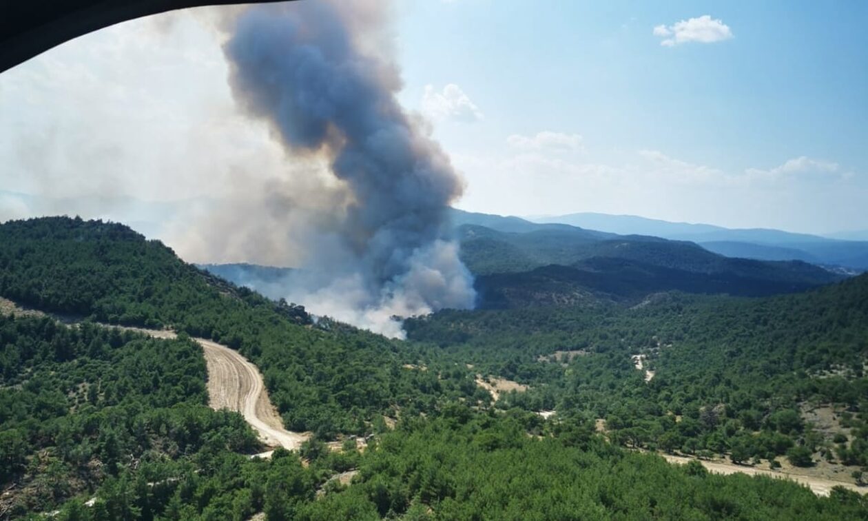 Πέτροβιτς: Επιπλέον ενίσχυση των δυνάμεων κατάσβεσης στη Δαδιά – Κρίσιμο το επόμενο 48ωρο