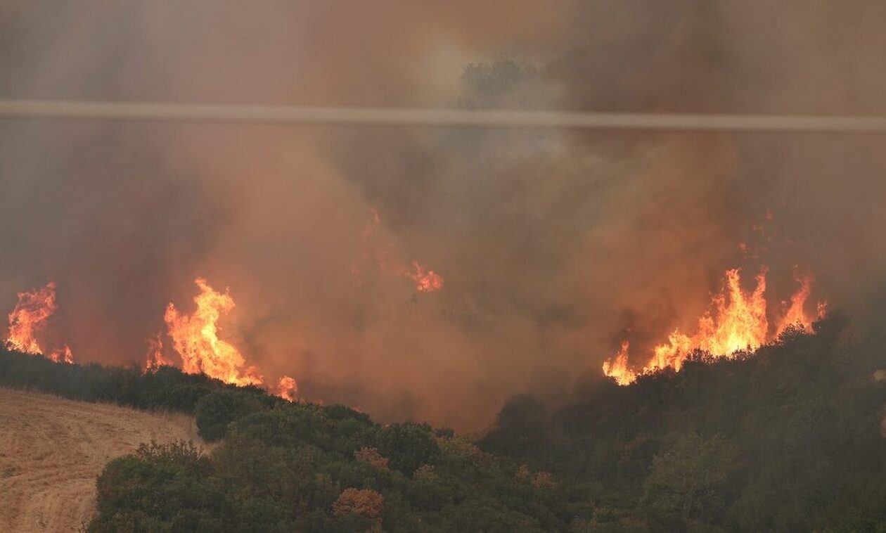 Φωτιές – Σαρηγιάννης για τα σωματίδια στην ατμόσφαιρα: Συνδέονται με νευροεκφυλιστικές παθήσεις