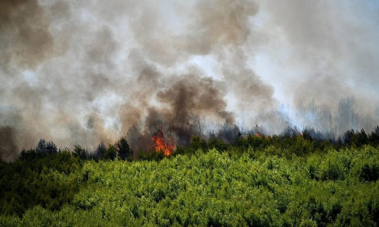 Μυτιλήνη: Γυναίκα συνελήφθη για πρόκληση πυρκαγιάς