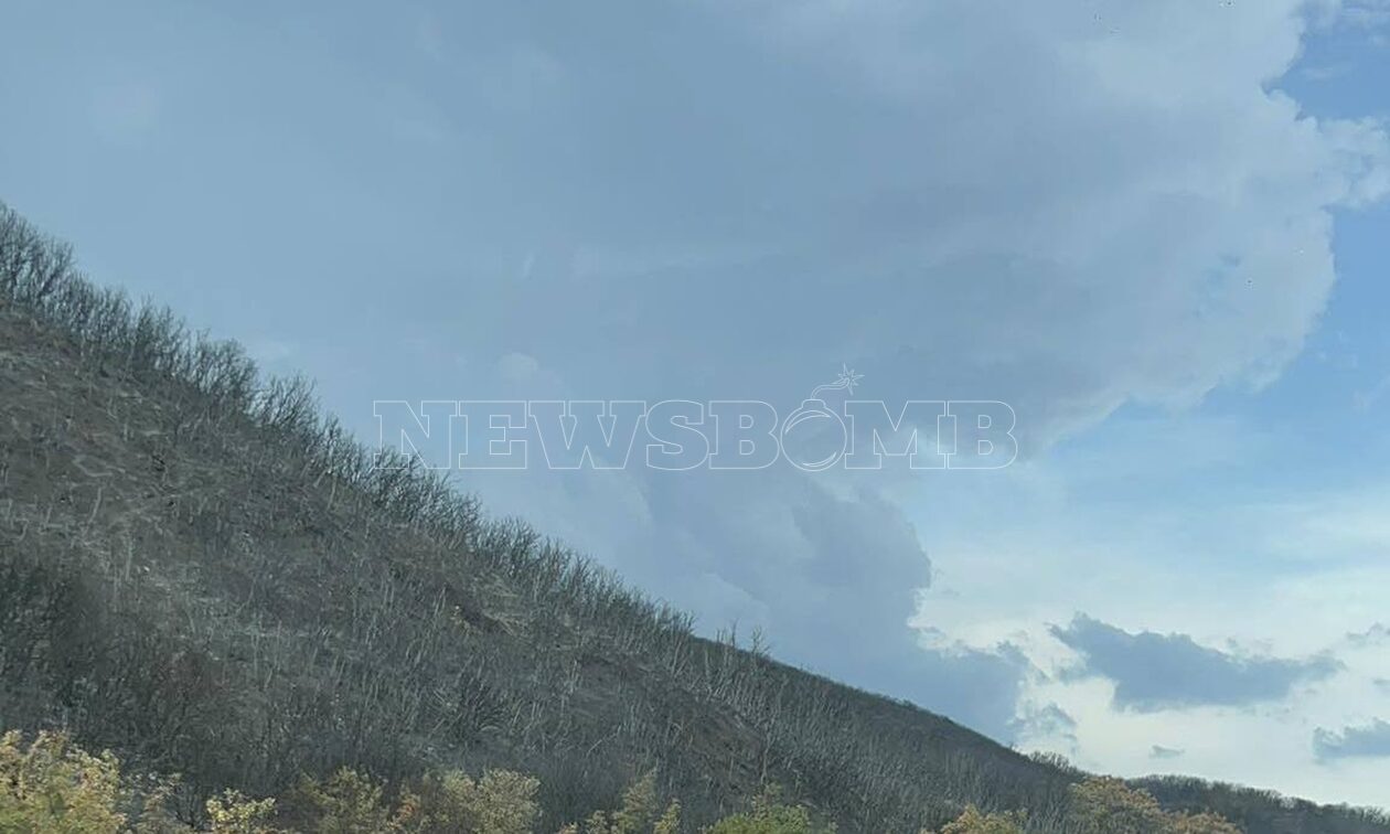 Μακρακώμη: Νεκρά ζώα και καμένες εκτάσεις γης άφησε η πυρκαγιά