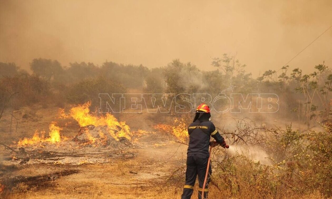 Φωτιά στην Αλεξανδρούπολη: Η γαλλική συνδρομή στην καταπολέμηση των πυρκαγιών.