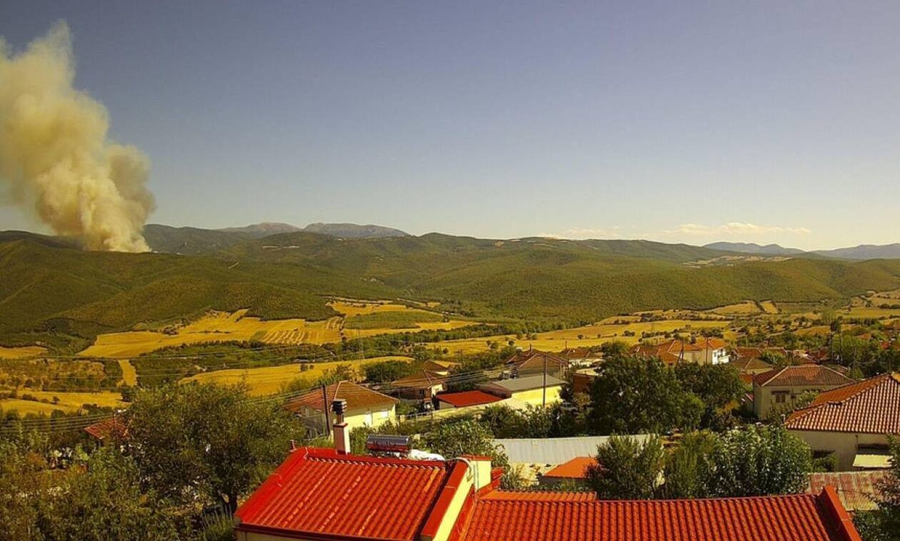 Συναγερμός στην Πυροσβεστική στη Λάρισα για φωτιά σε δασική έκταση στη Σκοπιά Φαρσάλων