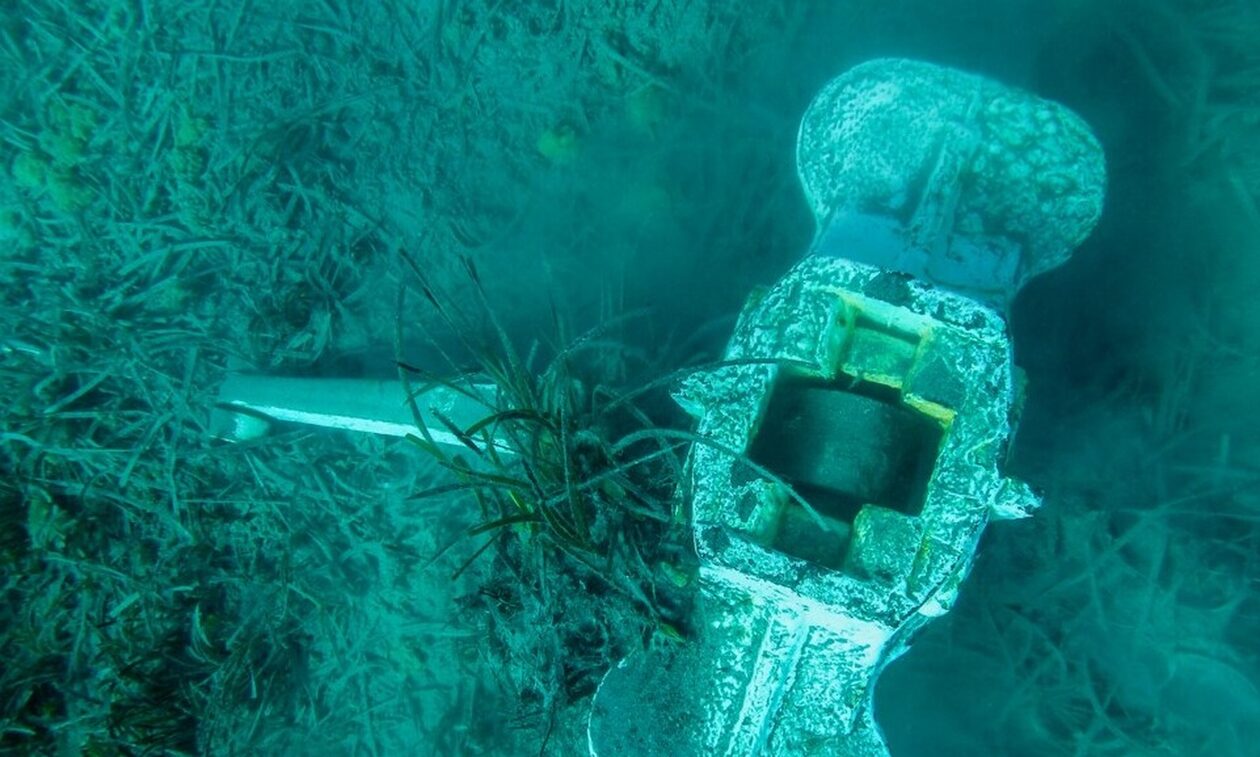 «Αρχιπέλαγος»: Σε τεράστιο κίνδυνο βρίσκονται και τα «θαλάσσια» δάση μας