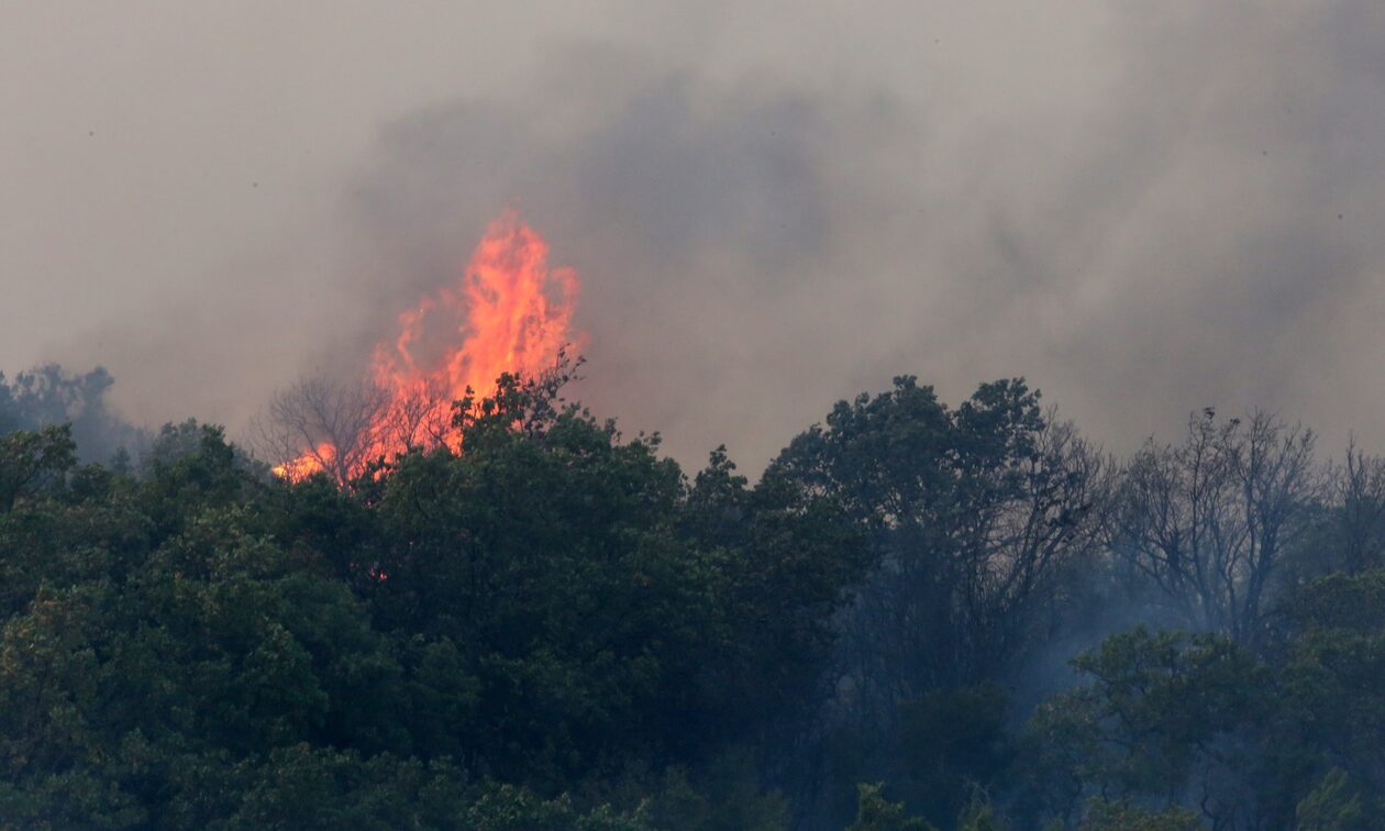 Φωτιά στον Έβρο: Καίει για 16η ημέρα – Βελτιωμένη η εικόνα στη Λευκίμμη