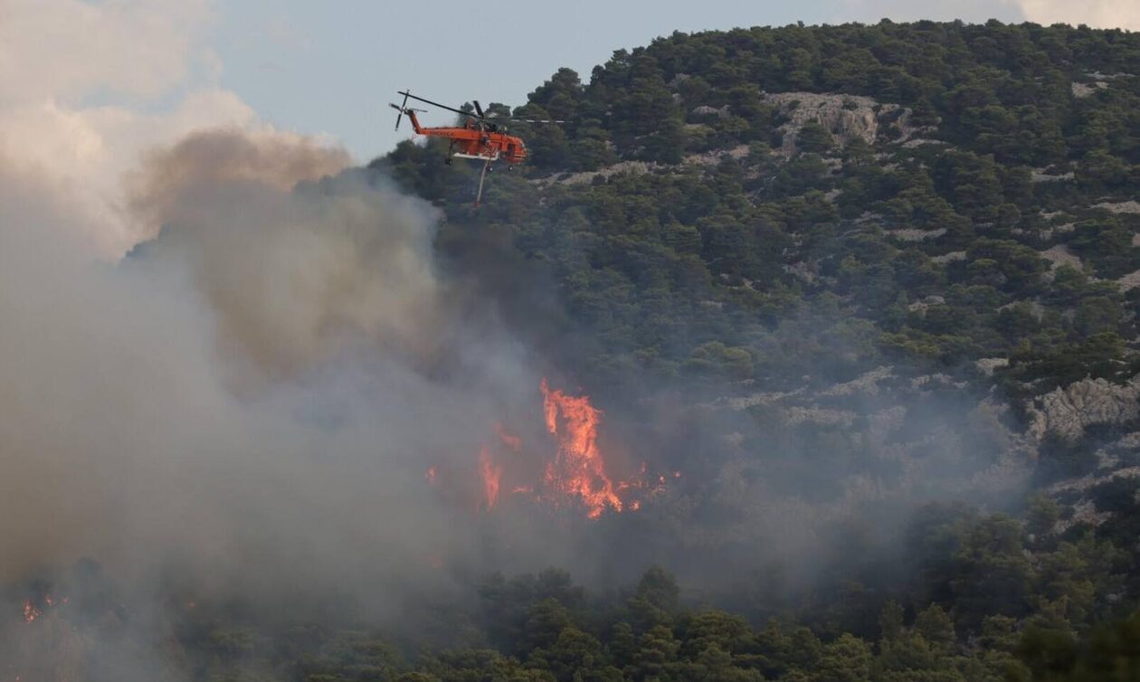 Τρίκαλα: Επεισοδιακή σύλληψη γυναίκας για εμπρησμό