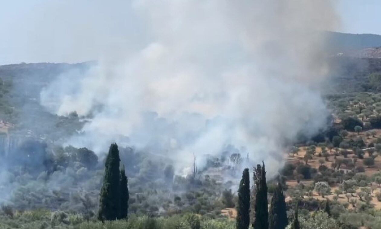 Μεσσηνία: Οριοθετήθηκε η φωτιά στον Άγιο Ισίδωρο του Χαρακοπιού