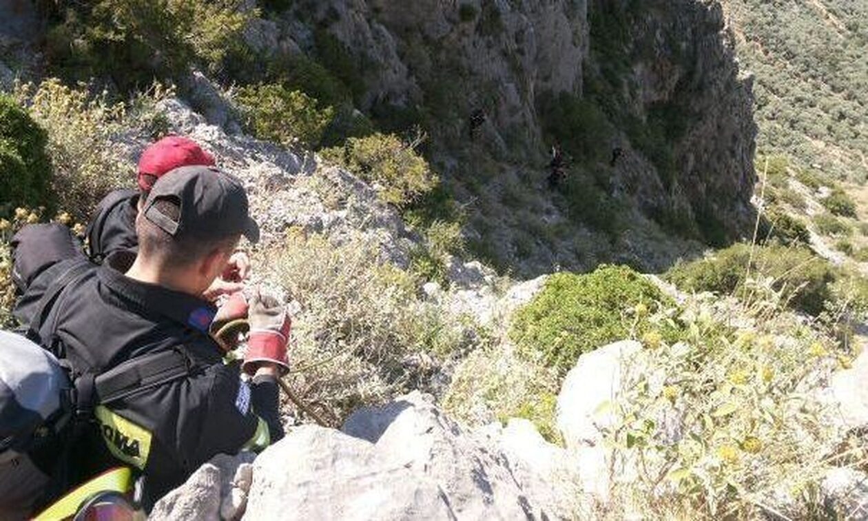Φθιώτιδα: 54χρονος έπεσε σε χαράδρα – Μεγάλη κινητοποίηση της πυροσβεστικής