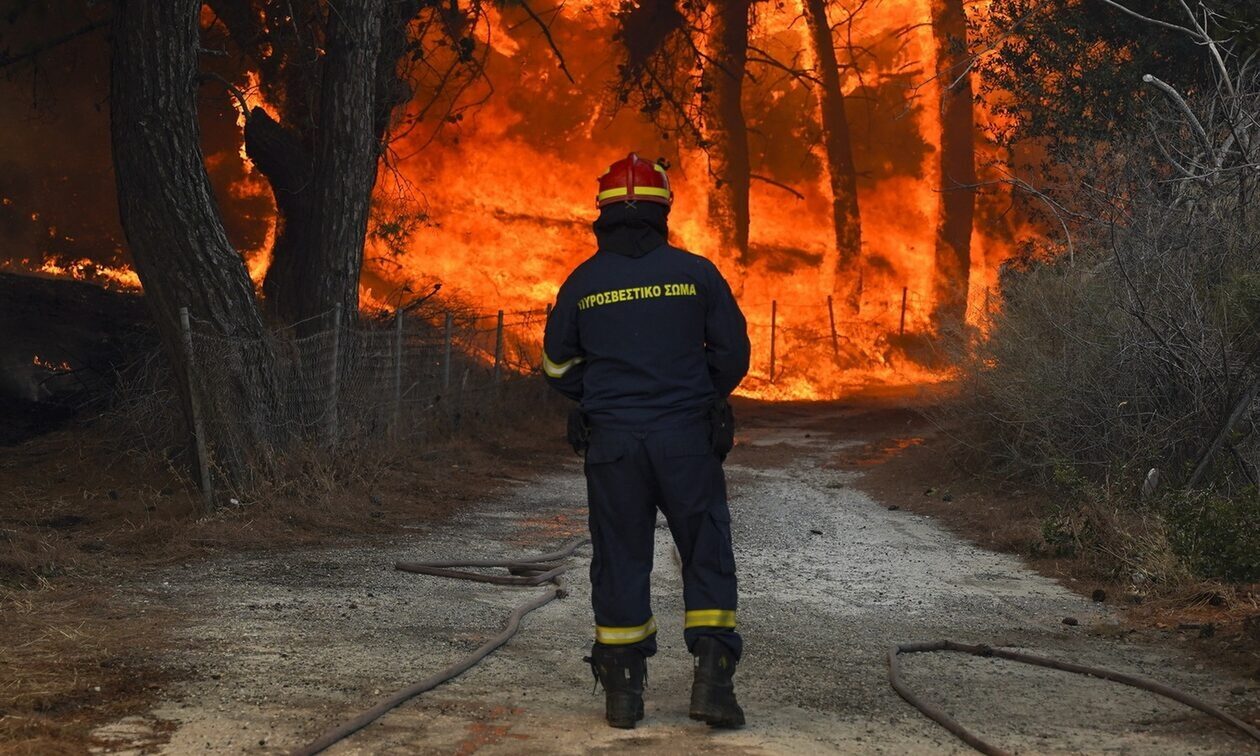 Ελλ. Λύση: Η Ελλάδα αναδείχθηκε «πρωταθλήτρια» καμένων εκτάσεων σε Ευρώπη, Μ. Ανατολή και Β. Αφρική