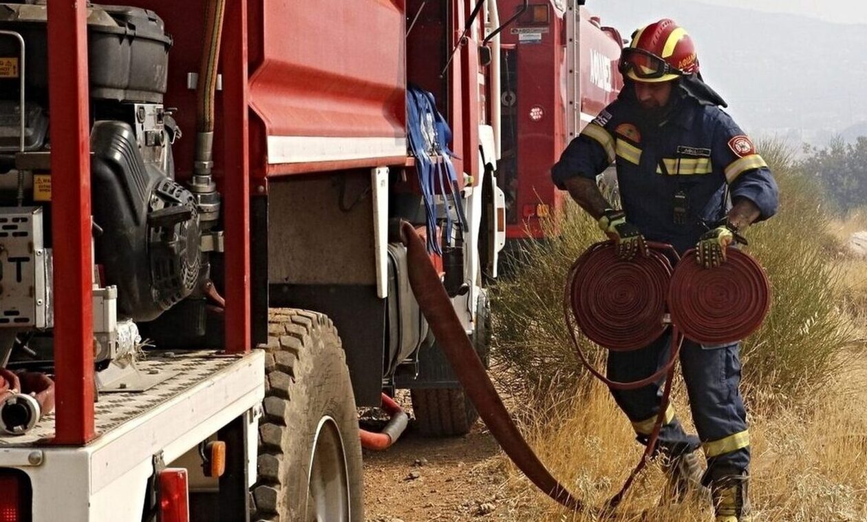 Συνολικά 1,7 εκατ. στρέμματα δασών κάηκαν στην Ελλάδα από την αρχή του χρόνου