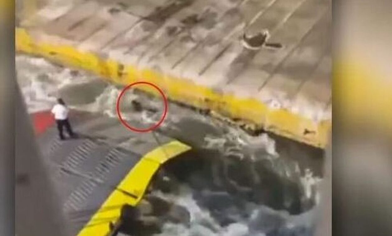 Blue Horizon – Πειραιάς: «Το λάθος το πληρώνει η ιεραρχία πάντα», λέει η σύζυγος του καπετάνιου