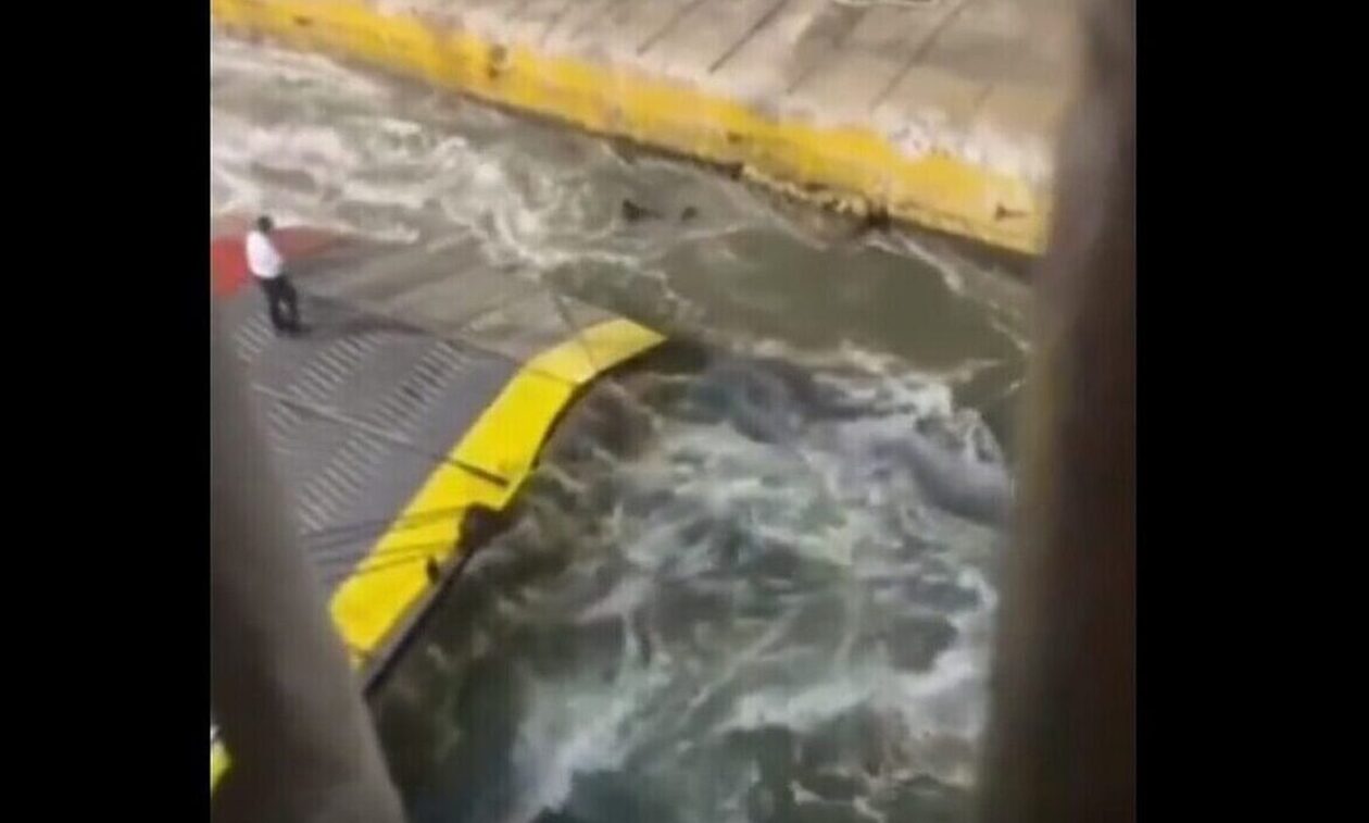 Blue Horizon: Έρχονται καρατομήσεις στο Λιμενικό για τον θάνατο του Αντώνη Καργιώτη