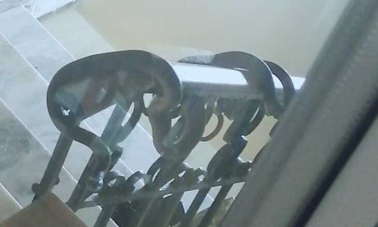 Κακοκαιρία Daniel: Ανεβαίνουν τα νερά αλλά και τα φίδια στην Καρδίτσα