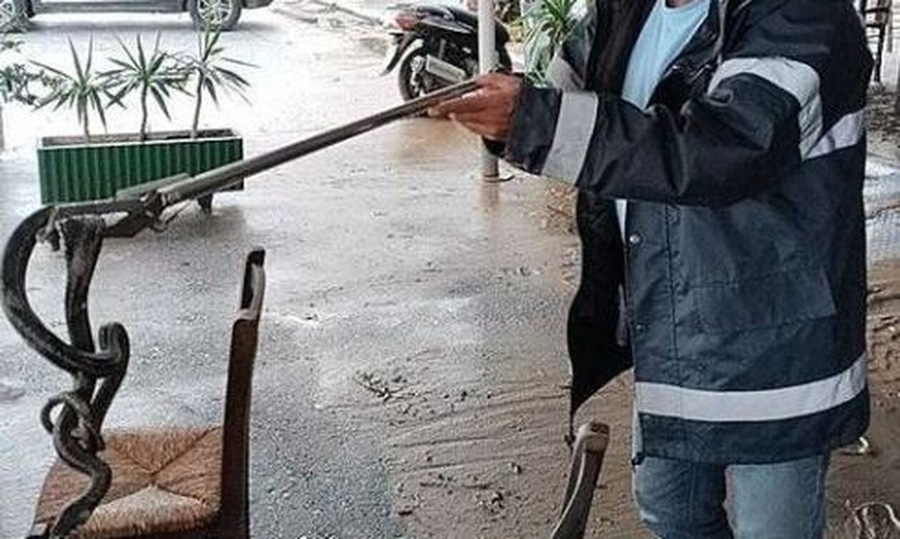 Κακοκαιρία Daniel: Δεντρογαλιά βρήκε καταφύγιο σε καρέκλες τσιπουράδικου στην παραλία του Βόλου