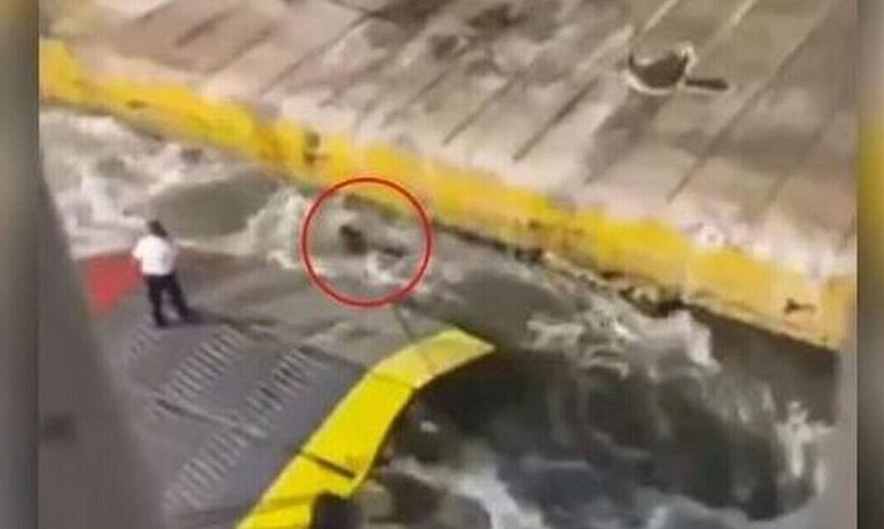 Αντώνης Καρυώτης: Καταδικάζουν οι δικηγόροι Πειραιά τη στάση των μελών του Blue Horizon