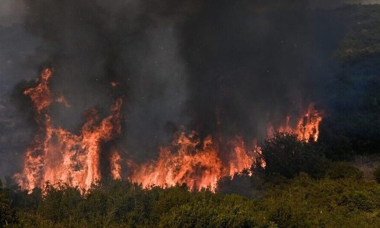 Φωτιά σε έκταση με καλαμιές στο δάσος της Στροφυλιάς