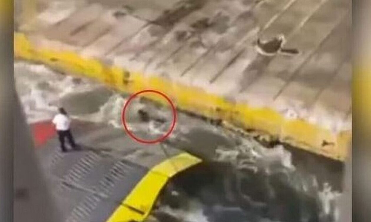 Blue Horizon: Οι καταθέσεις θα ρίξουν φως στο θάνατο του Αντώνη Καργιώτη