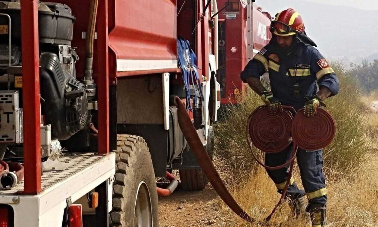 Φωτιά σε δασική έκταση στη Ζάκυνθο