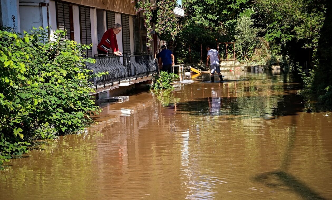 Κακοκαιρία Daniel: Προβληματισμός για τα νεκρά ζώα στη Θεσσαλία – Πού θα καταλήξουν;