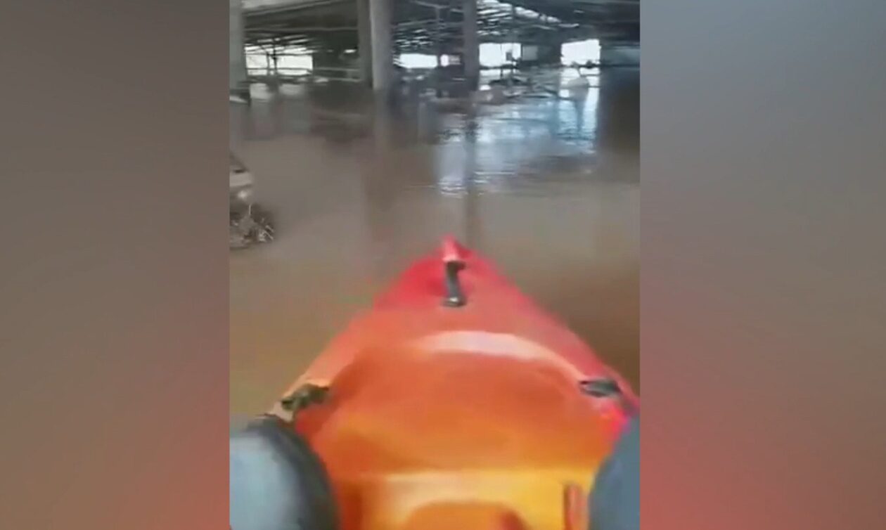 Κακοκαιρία Daniel: Κτηνοτρόφος στη Λάρισα μπήκε με βάρκα στη μονάδα του – Πνίγηκαν 800 πρόβατα