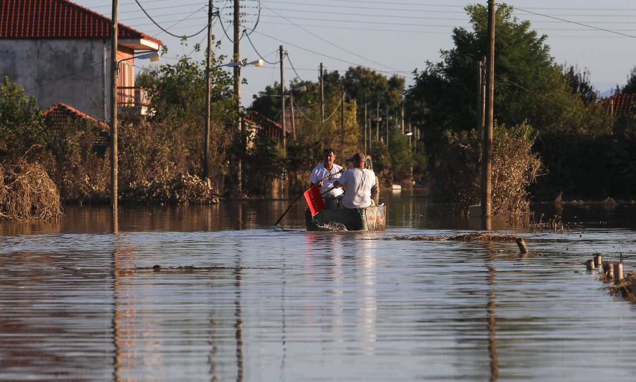 Κακοκαιρία Daniel – ΥπΑΑΤ: Νεκρά 38.000 αιγοπρόβατα και 7.000 χοίροι