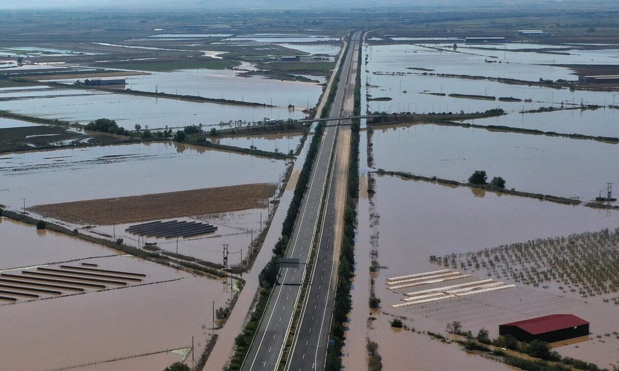 Κακοκαιρία Daniel: Απέραντο νεκροταφείο ζώων ο θεσσαλικός κάμπος – Σκληρές εικόνες (βίντεο)