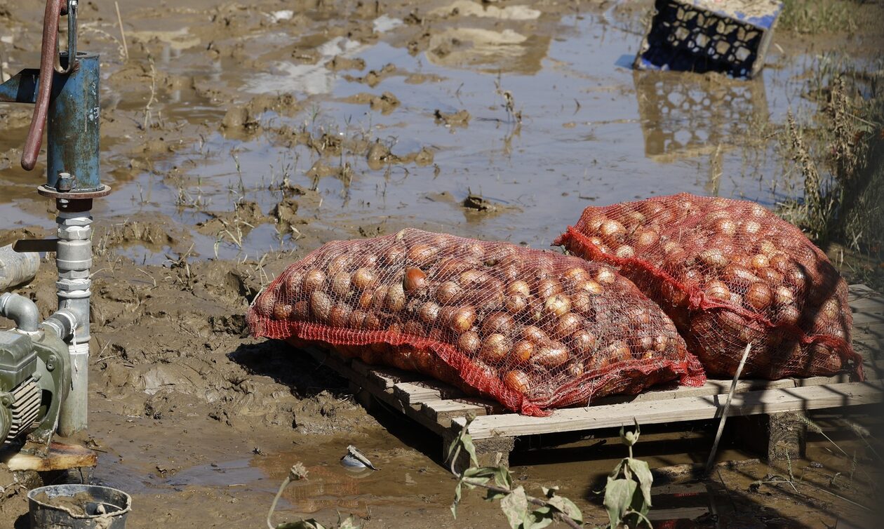 Κακοκαιρία Daniel – Μαγιορκίνης: Τι πρέπει να προσέχουν οι κάτοικοι στις περιοχές που επλήγησαν