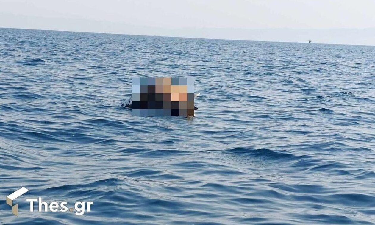 Θεσσαλονίκη: Νεκρή αγελάδα επιπλέει στον Θερμαϊκό