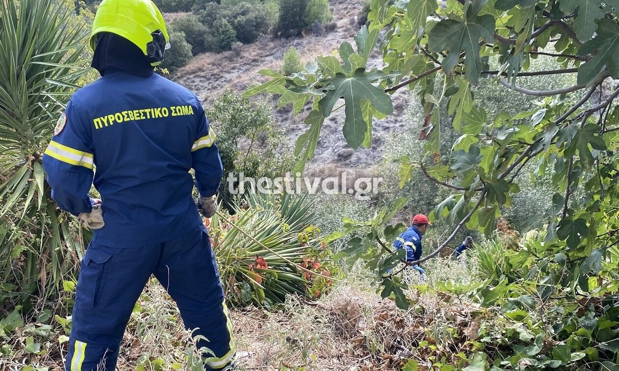 Θεσσαλονίκη: Ηλικιωμένος έπεσε σε γκρεμό 10 μέτρων – Μεγάλη κινητοποίηση για την ανάσυρσή του (vid)