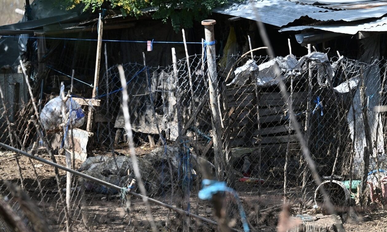 Βουλή: Στο 75% η αποκομιδή των νεκρών ζώων στη Θεσσαλία