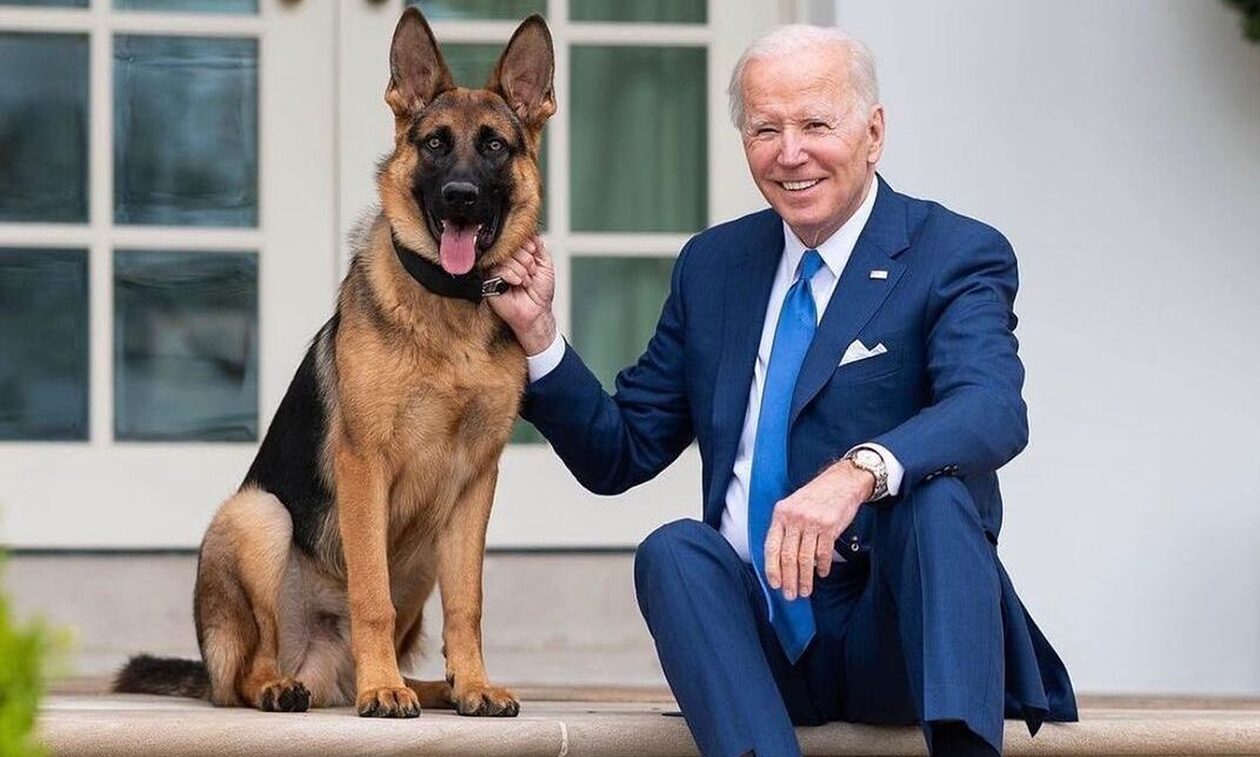 Τζο Μπαίντεν: Ο σκύλος του δάγκωσε κι άλλη πράκτορα – 11η επίθεση μέσα σε ένα χρόνο