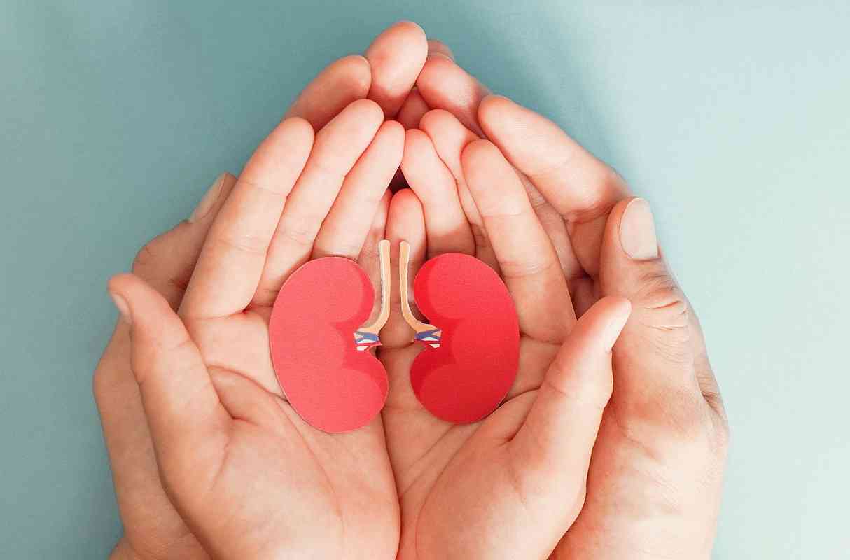 Νεφρά: Ποιες τροφές μειώνουν τον κίνδυνο νεφρικής νόσου