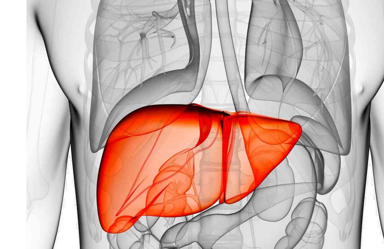Συκώτι: Πώς το λίπος αυξάνει τον κίνδυνο για καρκίνο