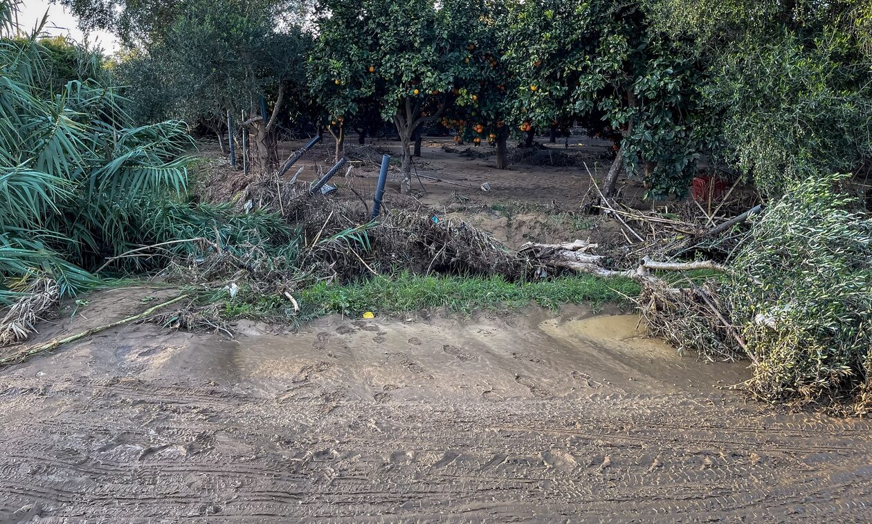 Θήβα: Βρέθηκε ανθρώπινος σκελετός μέσα σε ρέμα (φωτο)