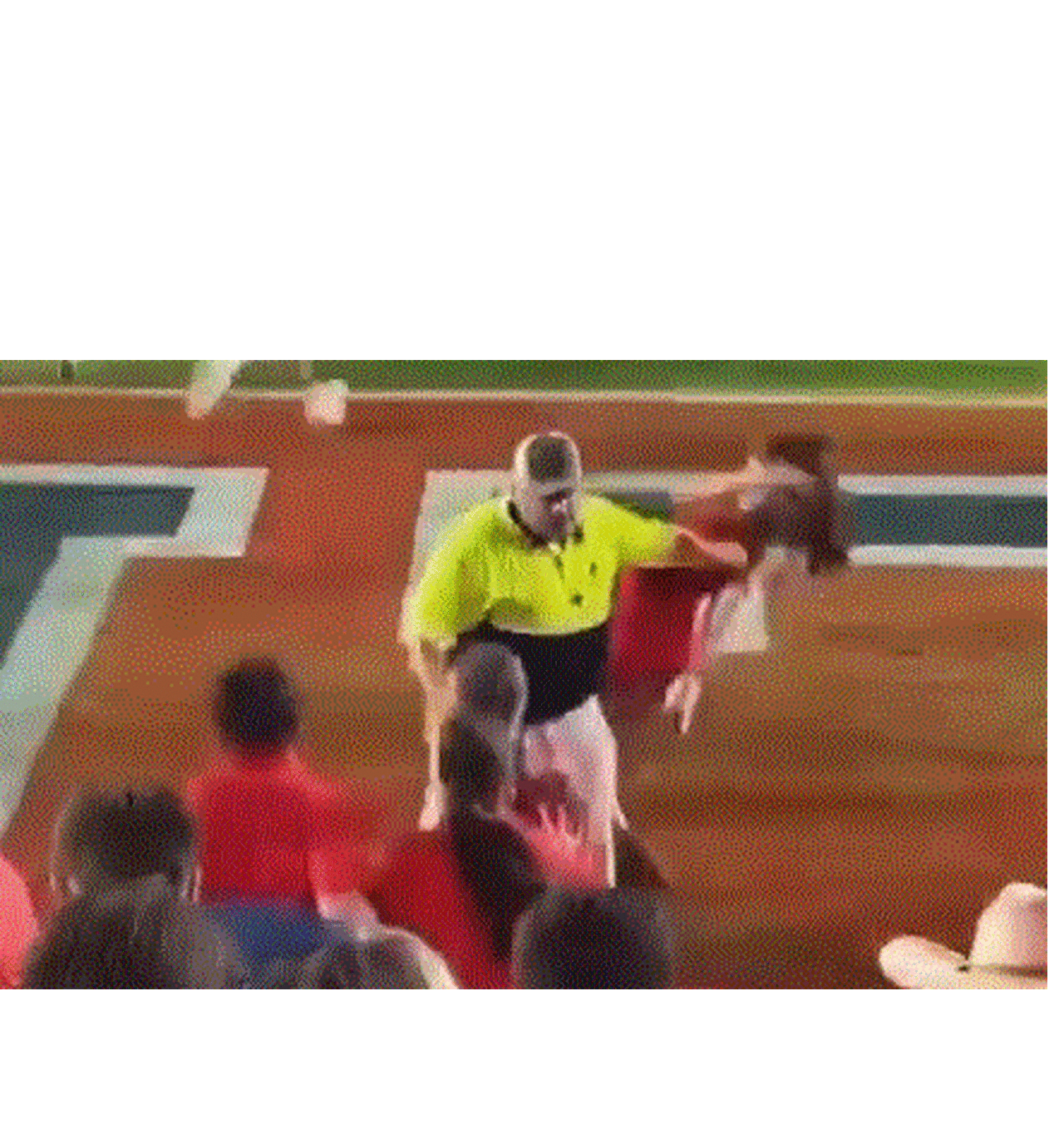 ΗΠΑ: Σεκιουριτάς «γκρέμισε» κοπέλα που μπήκε στο γήπεδο για να πανηγυρίσει τη νίκη της ομάδας της