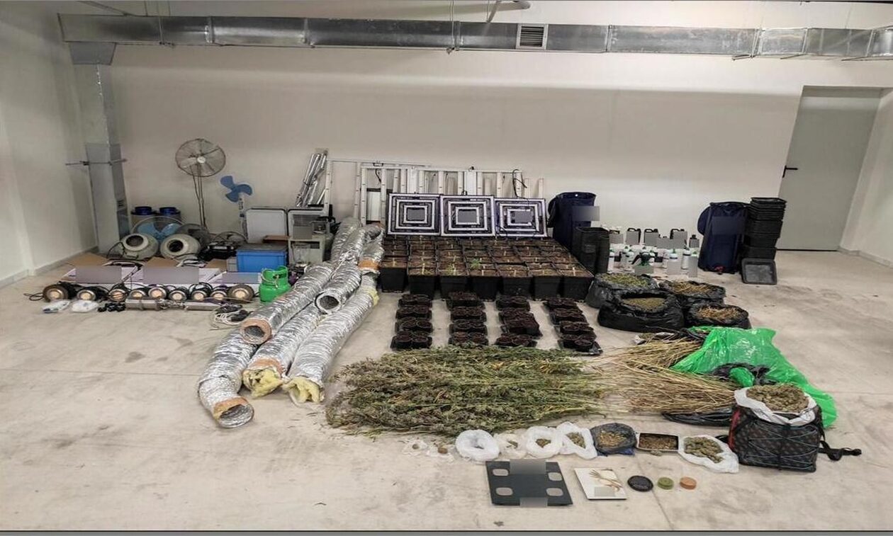 Θεσσαλονίκη: Εντοπίστηκε κρύπτη με εργαστήριο υδροπονικής καλλιέργειας κάνναβης – 3 συλλήψεις