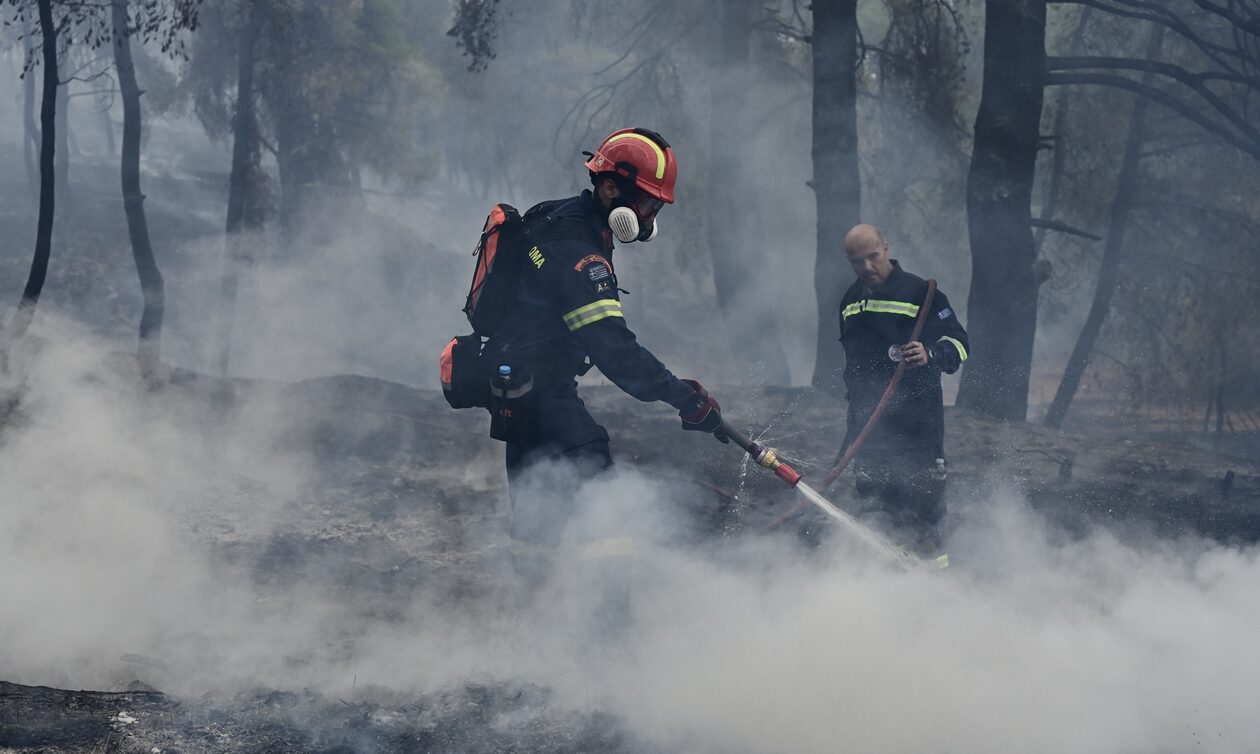 Θεσσαλονίκη: Διοικητικό πρόστιμο για πυρκαγιά σε ξερά χόρτα
