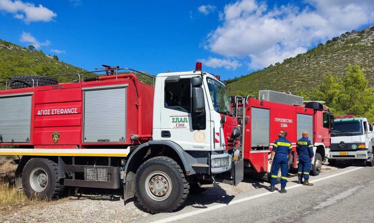Φωτιά στη Νέα Μάκρη: Υπό μερικό έλεγχο – Αποκαταστάθηκε η κυκλοφορία στη λεωφόρο Διονύσου