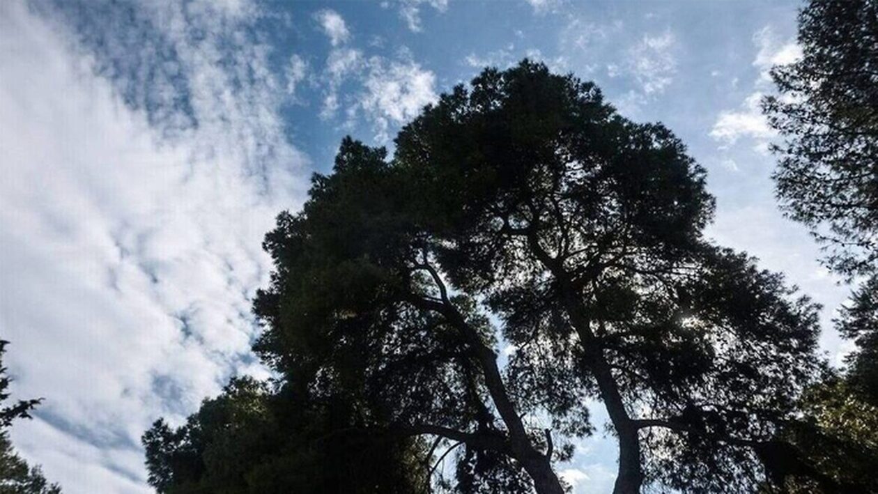 Ο καιρός: Αίθριος με τοπικές νεφώσεις και πιθανότητα για τοπικές βροχές