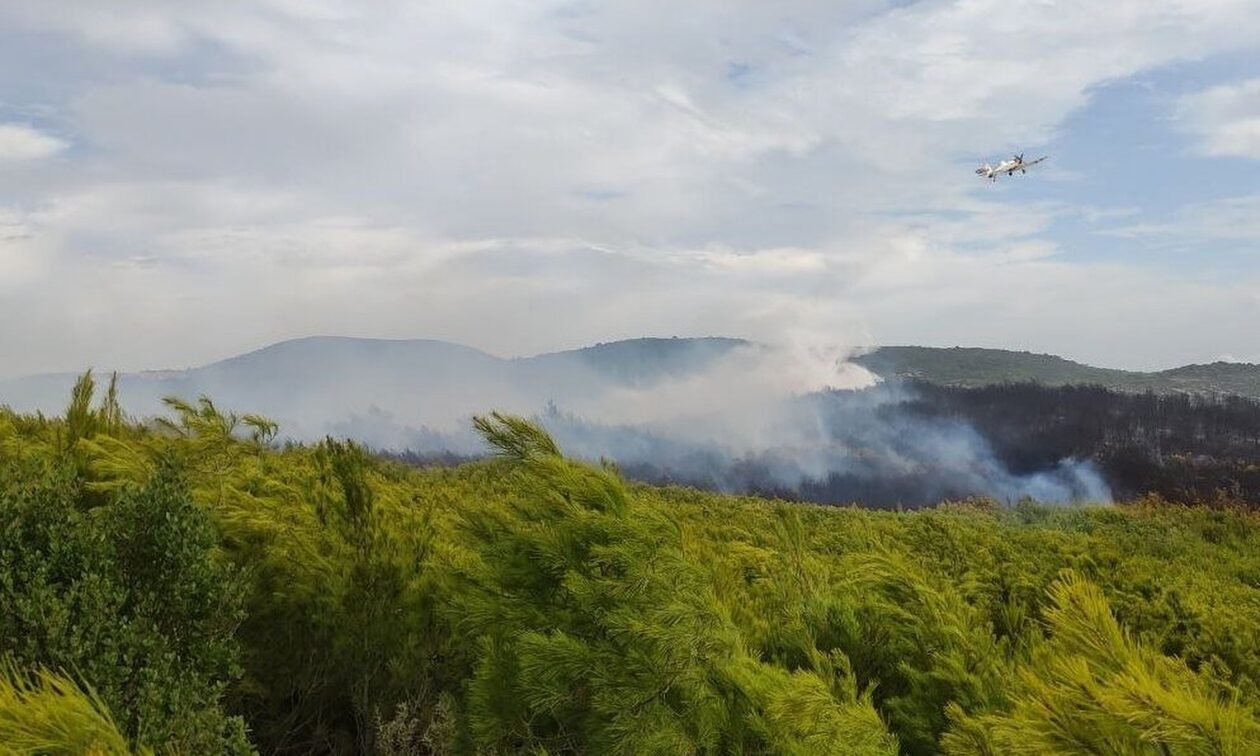 Φωτιές: Σε εξέλιξη τα πύρινα μέτωπα σε Κέρκυρα και Ζάκυνθο – Στη μάχη επίγειες και εναέριες δυνάμεις