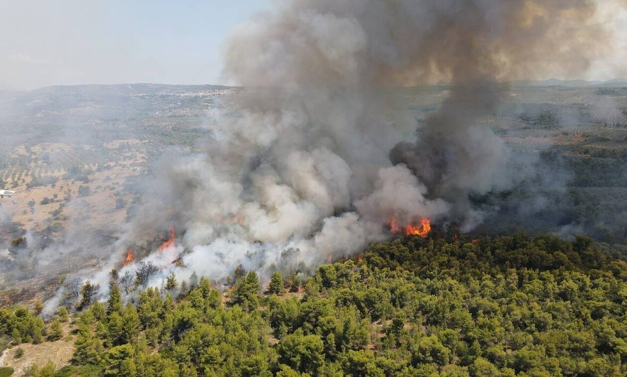 Φθιώτιδα: Αθώος ο ανήλικος μαθητής που κατηγορούνταν για τις πυρκαγιές στο Θεολόγο