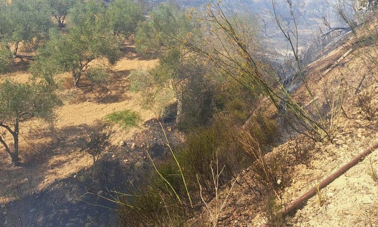 Ρέθυμνο: Μεγάλη φωτιά στον Ασώματο Αμαρίου (vid)