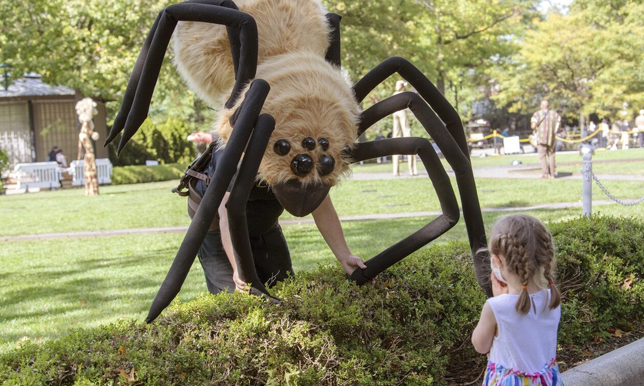 Halloween: Πυρετός προετοιμασίας για το αγαπημένο πάρτι μικρών και μεγάλων