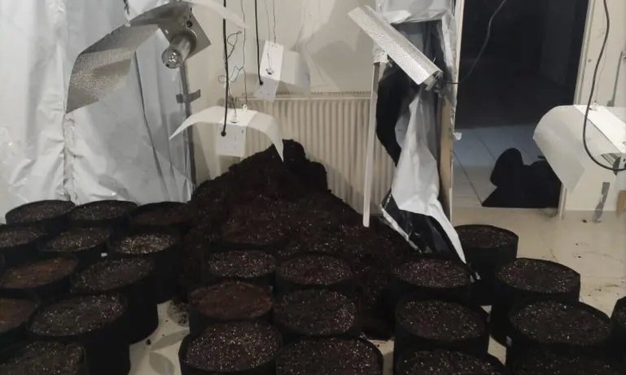 Διαμέρισμα – «σούπερ μάρκετ» ναρκωτικών στη Νέα Μάκρη – Κατασχέθηκε ένα κιλό κάνναβη και όπλα