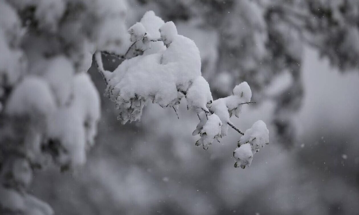Μερομήνια: Πότε θα δούμε τα πρώτα χιόνια – Τι προβλέπουν έως τον Μάρτιο