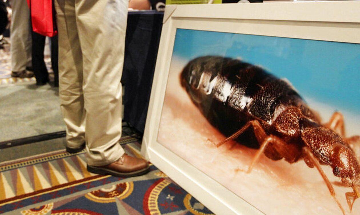 Γαλλία: Ρωσικά «τρολ» πίσω απο τον πανικό για τους κοριούς; Η νέα θεωρία που κάνει θραύση